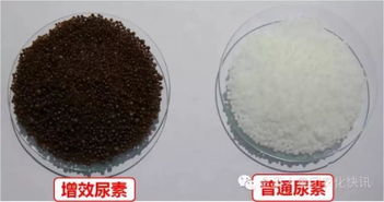 肥料为什么要加颜色 应该如何选购适合的颜色肥料