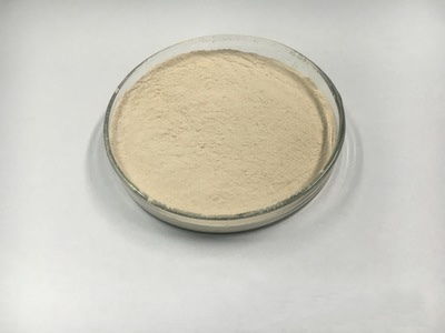 食品用酵母能代替肥料发酵剂吗