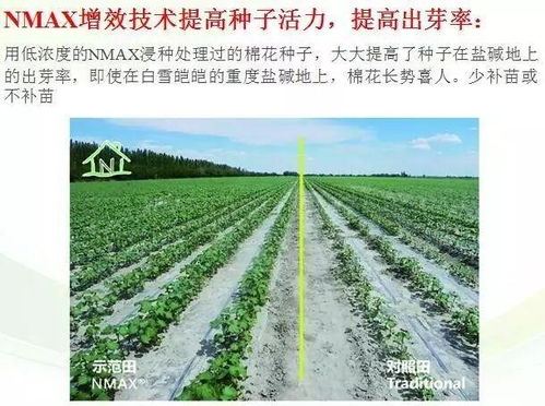 nmax肥料增效剂,肥料升级换代新选择,赶快报名免费试用啦