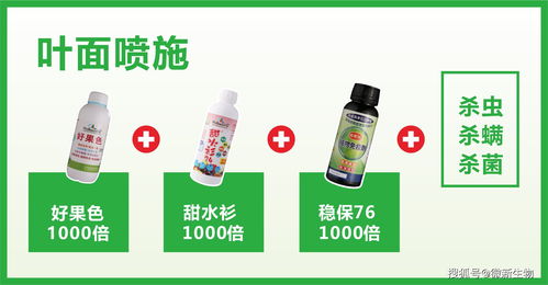 微新生物柑橘公开课 11月份砂糖桔管理重点和营养方案