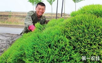 农村又增3项补贴