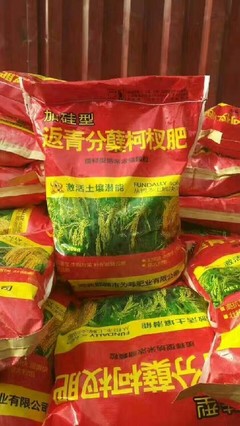 全能胖墩水稻柯杈硅肥,湖南益阳全能胖墩稻立丰