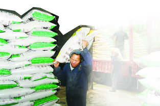 化肥寒冬中新型肥料及增效剂的崛起与预期