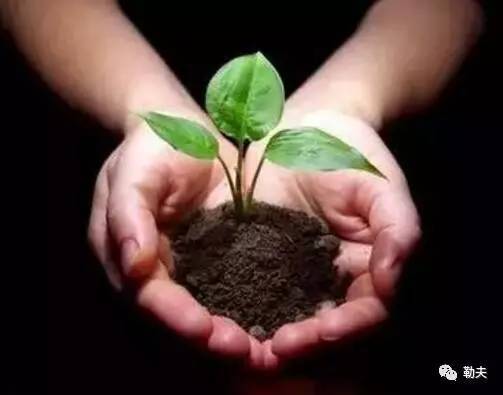 含腐植酸新型肥料 五剂增效，绿色农业新助力