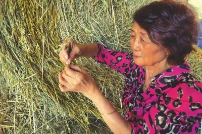 风吹草低见牛羊 访呼伦贝尔生态草牧业试验区院士工作站——聚焦新型肥料增效剂的创新之路